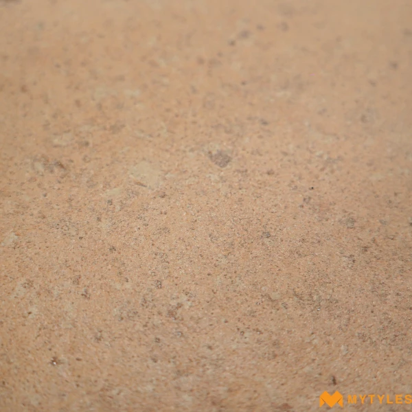 40653 image 14