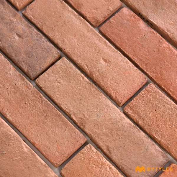 13232 image 16