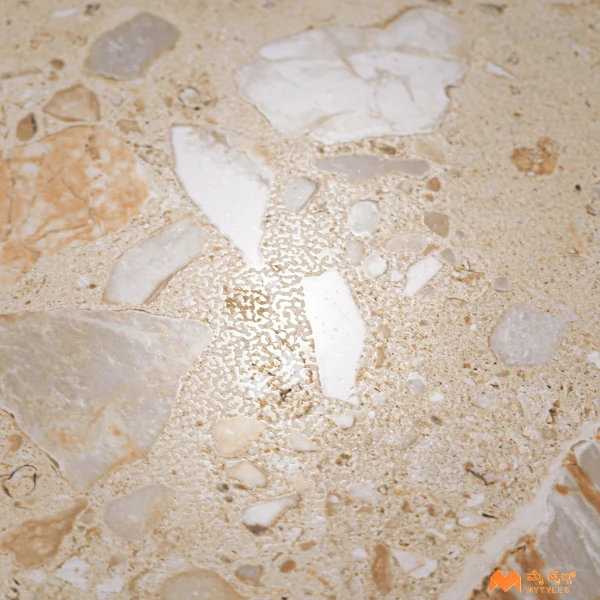37311 image 13
