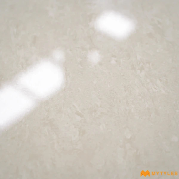 38896 image 8
