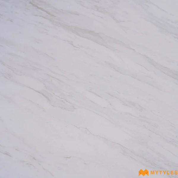 40638 image 11