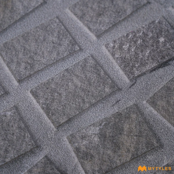 39011 image 9