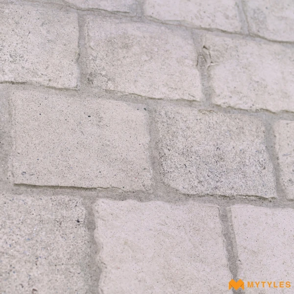 17109 image 3