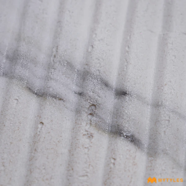 39019 image 9
