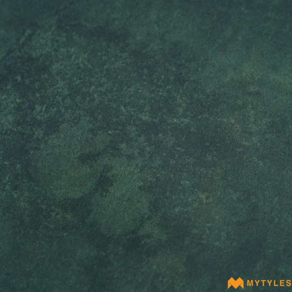 38929 image 13