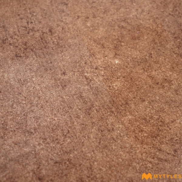 38382 image 22