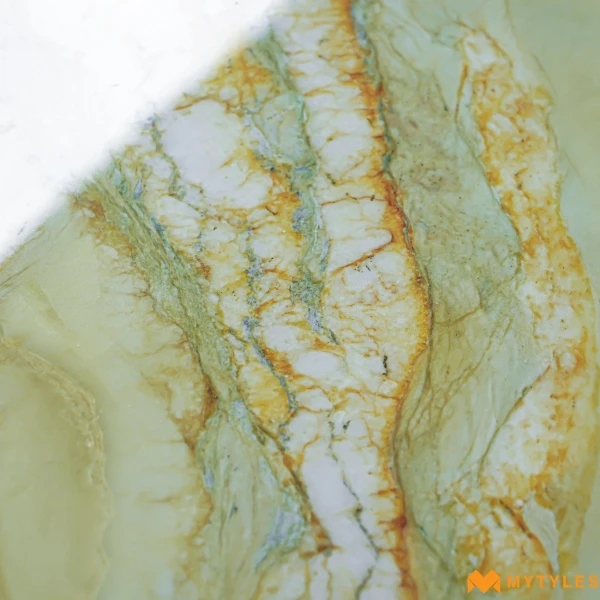 40603 image 11