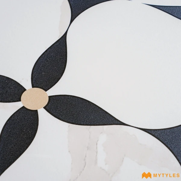 41232 image 16