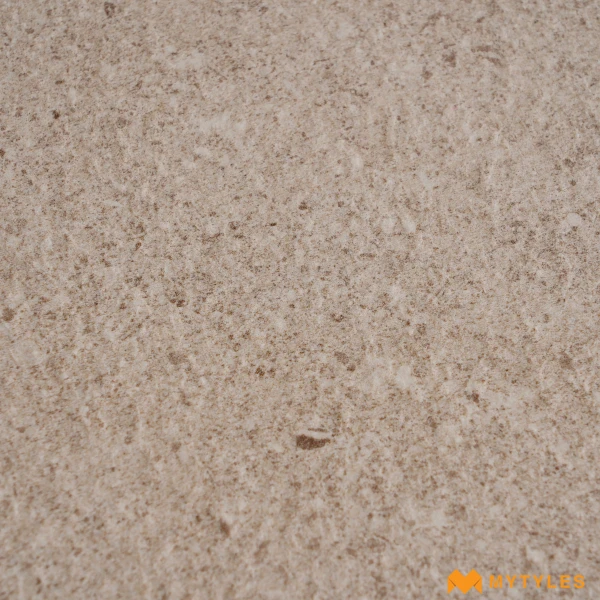 39965 image 11