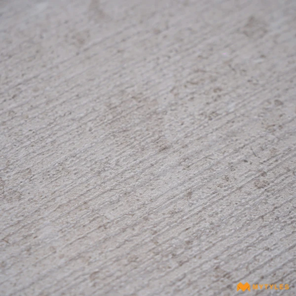 39074 image 8