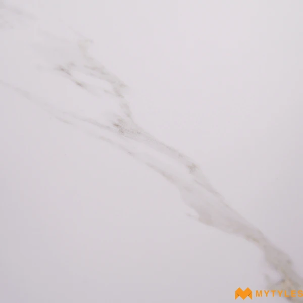 40280 image 13