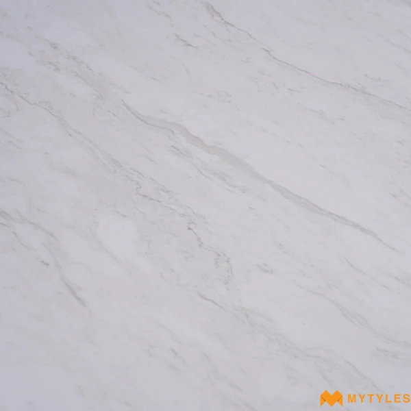40638 image 10
