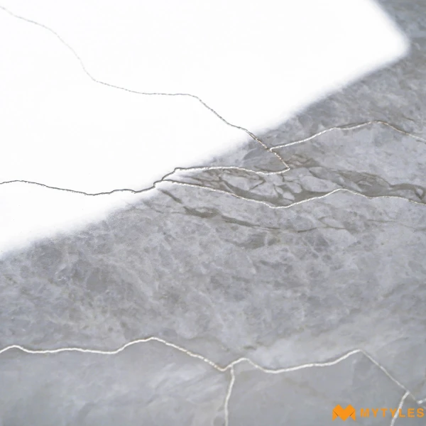 40631 image 11