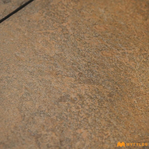 40651 image 16
