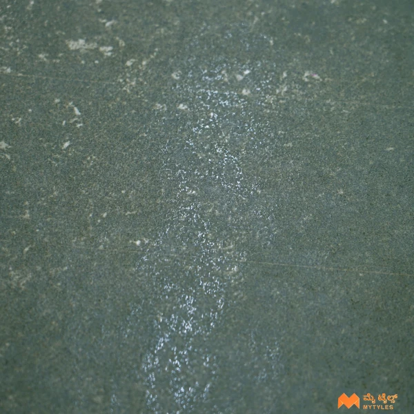 37757 image 8