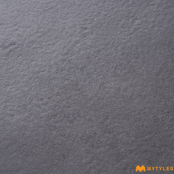 40441 image 11