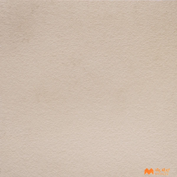 37131 image 1