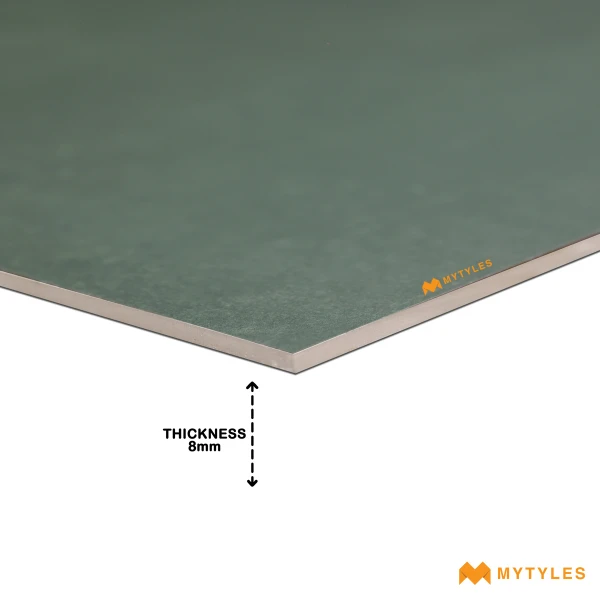 39539LT image 5