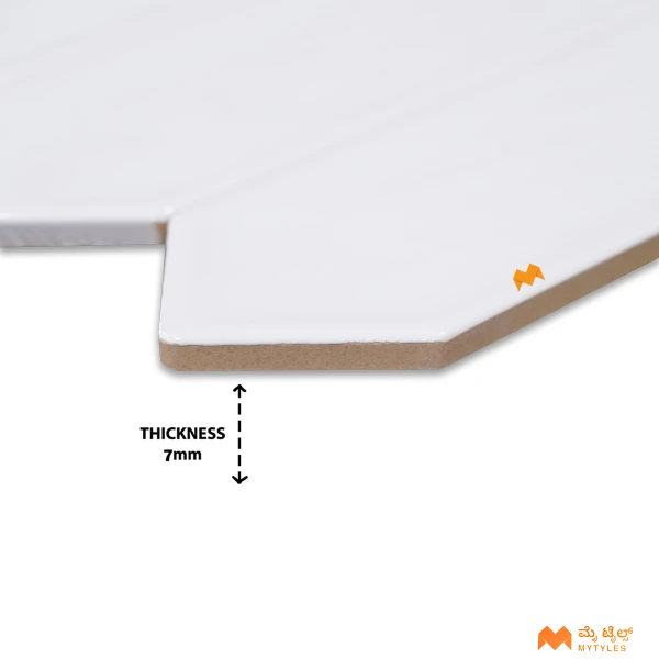 38103 image 4