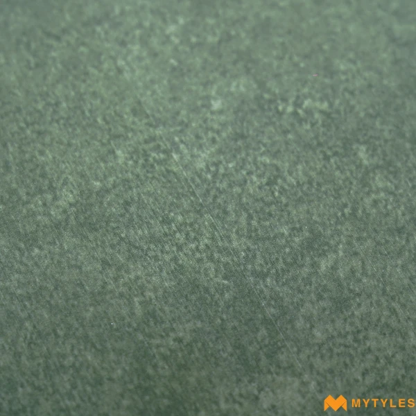 38384 image 21