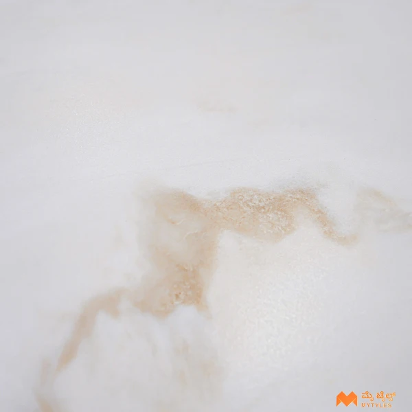 37203 image 9
