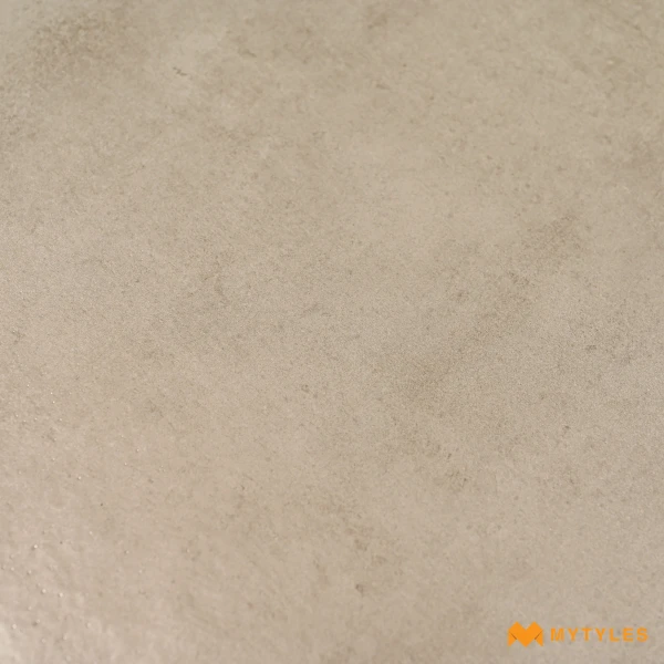 38833 image 10