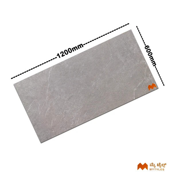 37090 image 3