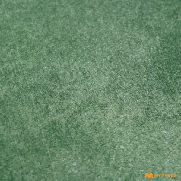 38386 image 22
