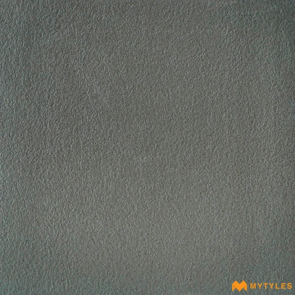 39528 image 1