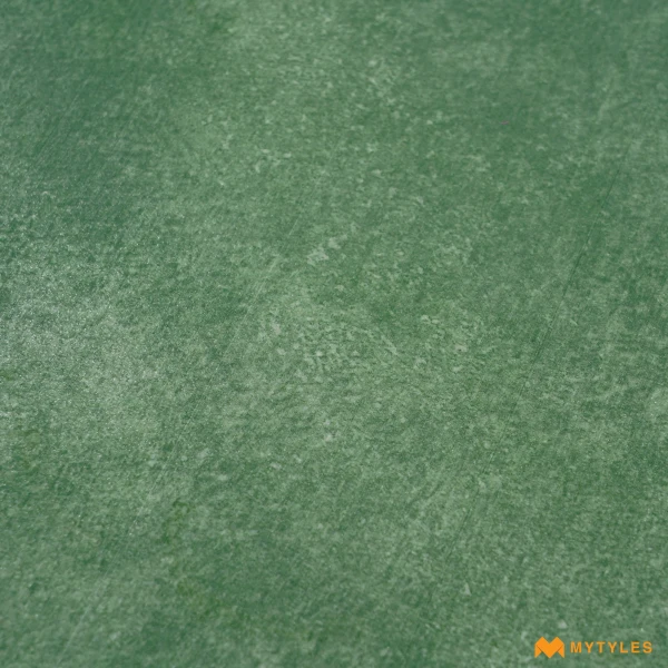 38386 image 21