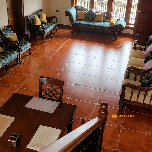 17372 image 2