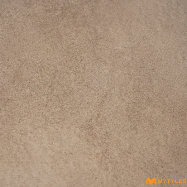 38830 image 10