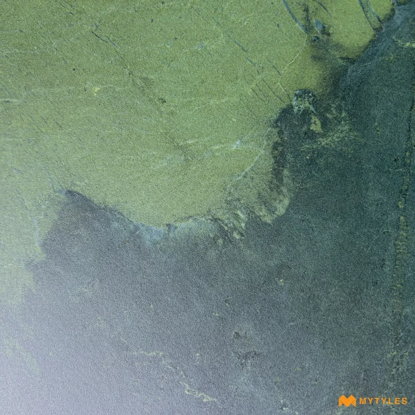40371 image 11