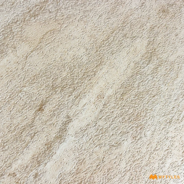 41060 image 10
