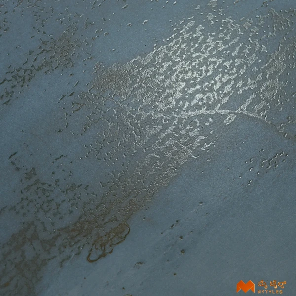 37071 image 8