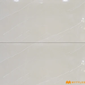 undefined-Imperial Silk Light Grey Glossy Ceramic Tile Code40015LT 300x600mm 8Pc