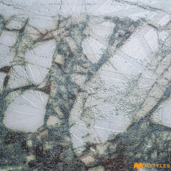 38910 image 10