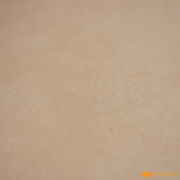 38481 image 8