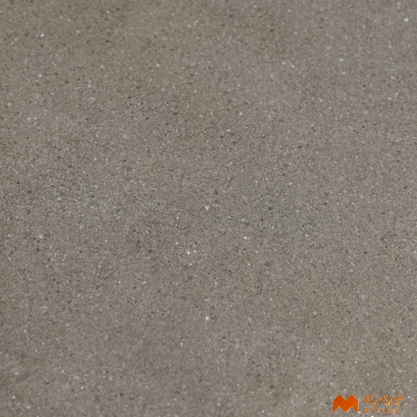 36790 image 6