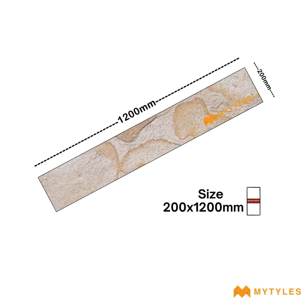40658 image 4