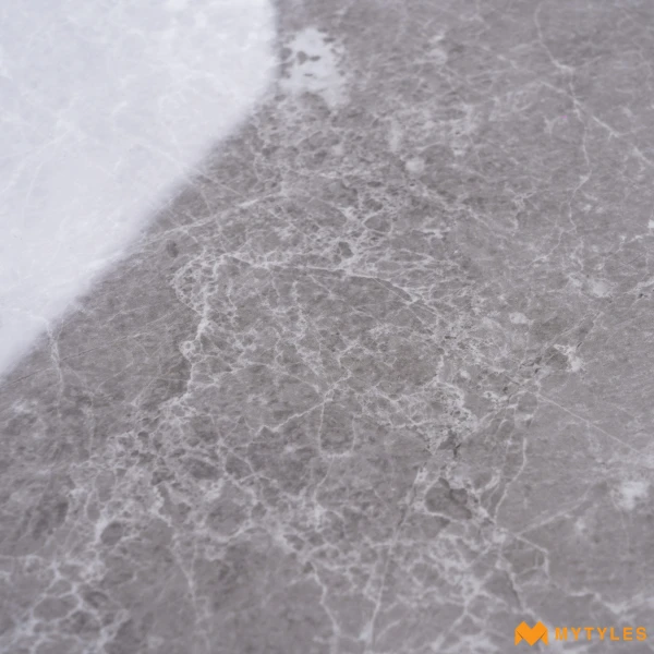 40173 image 11