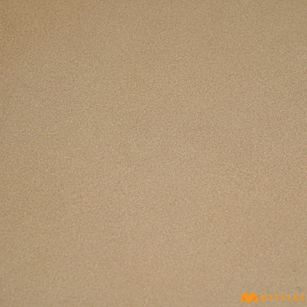 40421 image 11