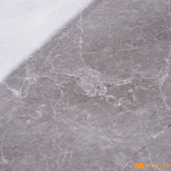 40173 image 10