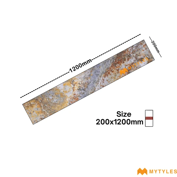 40667 image 4