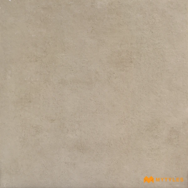 38833 image 1