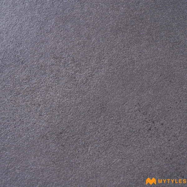 40441 image 12