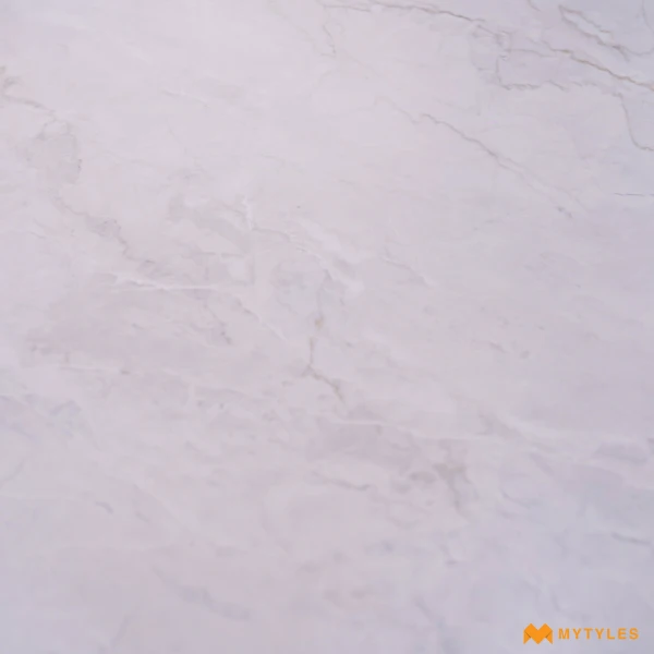 37193 image 8