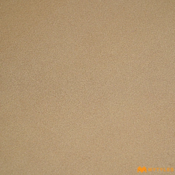 40421 image 10