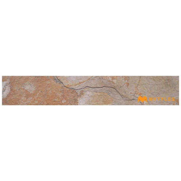 40660 image 10