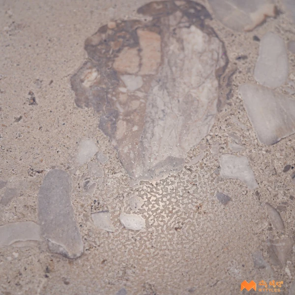 37312 image 11